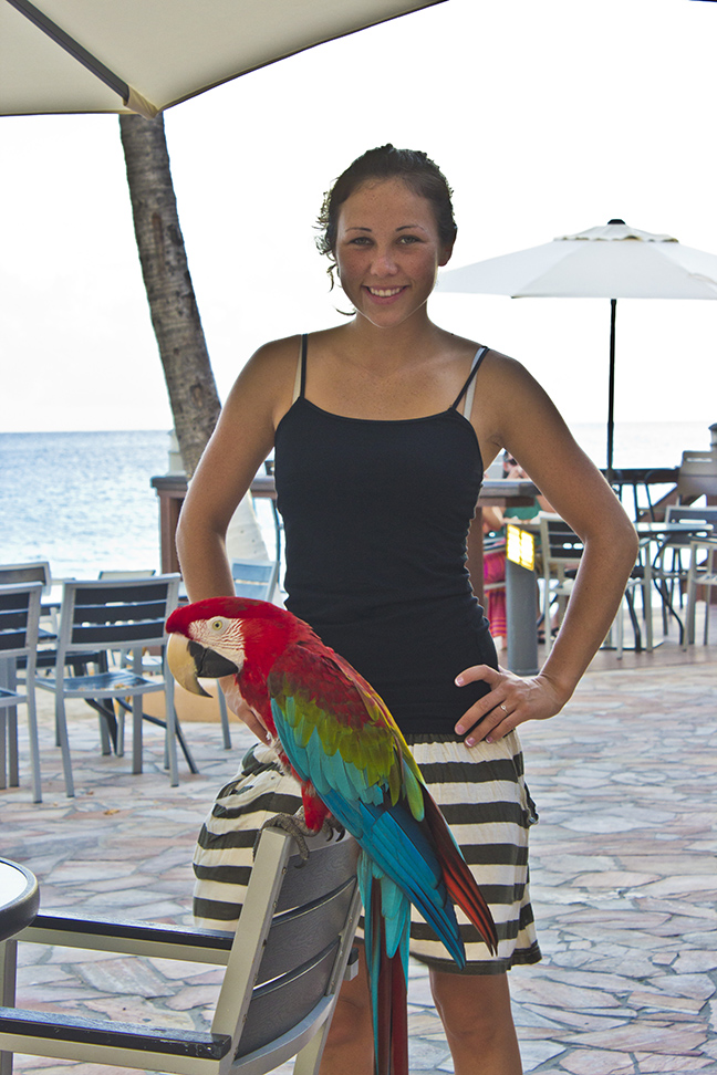 Resort parrots