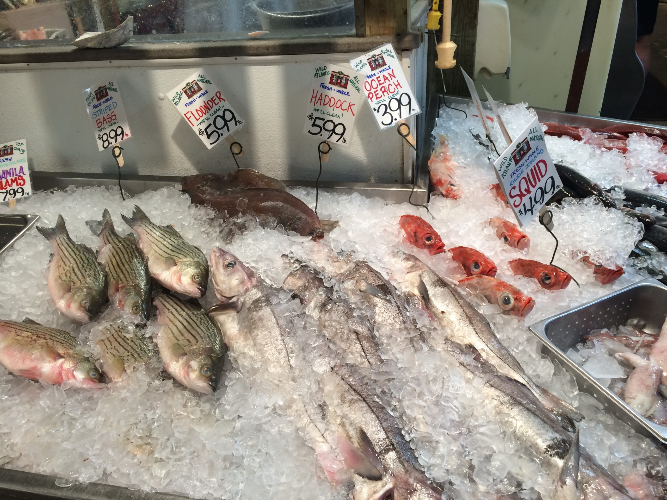 Local fresh fish market! 